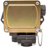 3WPS Industrial Pressure Switch